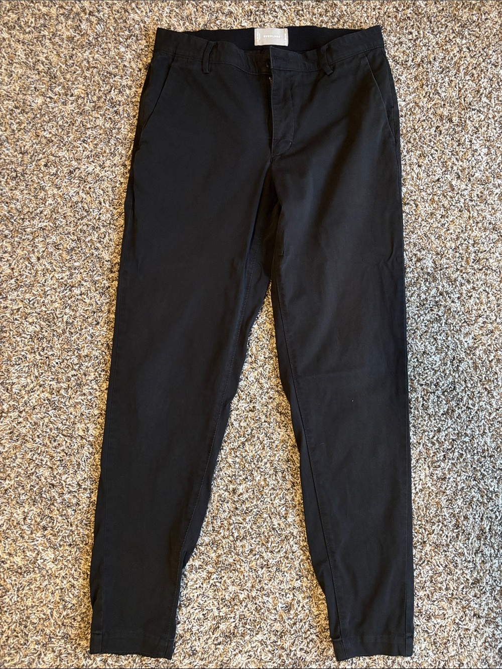 Everlane Black Slim Traveler Chinos